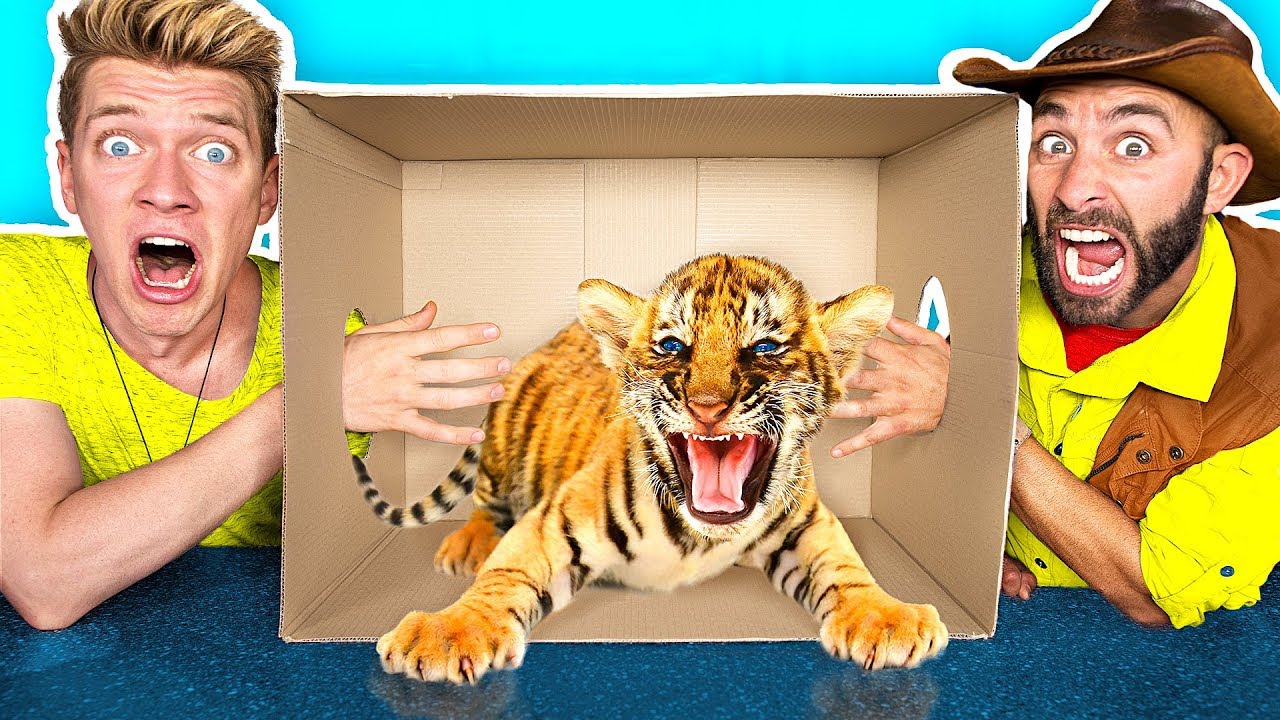 What&rsquo;s in the BOX Challenge!! **LIVE ANIMALS** Gross Giant Slime Orbeez & Real Food vs. Gummy Food