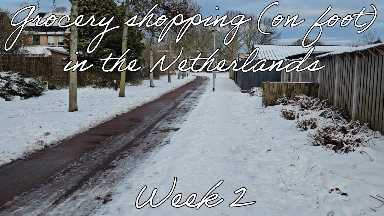 Grocery shopping (on foot) in the Netherlands | Week 2 2026