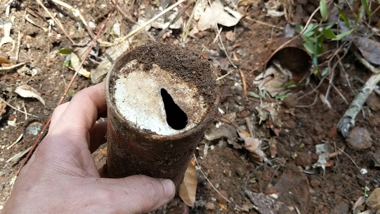 Clearing Out And Pulling Some Old Soda Cans