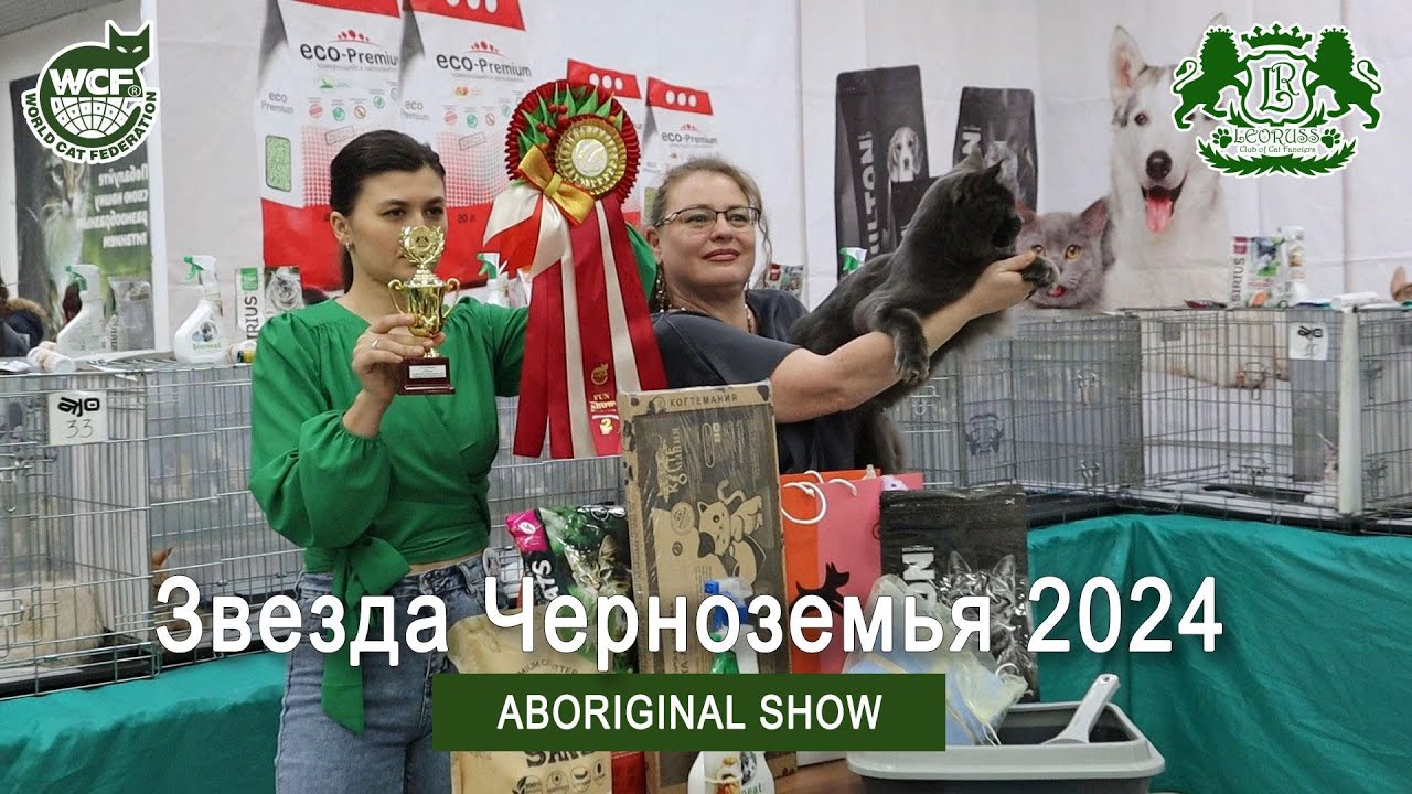 Звезда Черноземья 2024 | Ринг аборигенных пород
