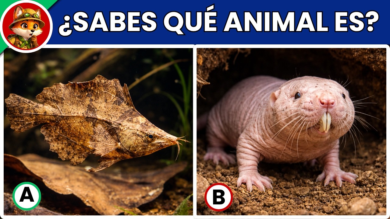 Adivina el Animal por la Imagen 🦊 Quiz Nivel Medio ¿Puedes Superarlo?