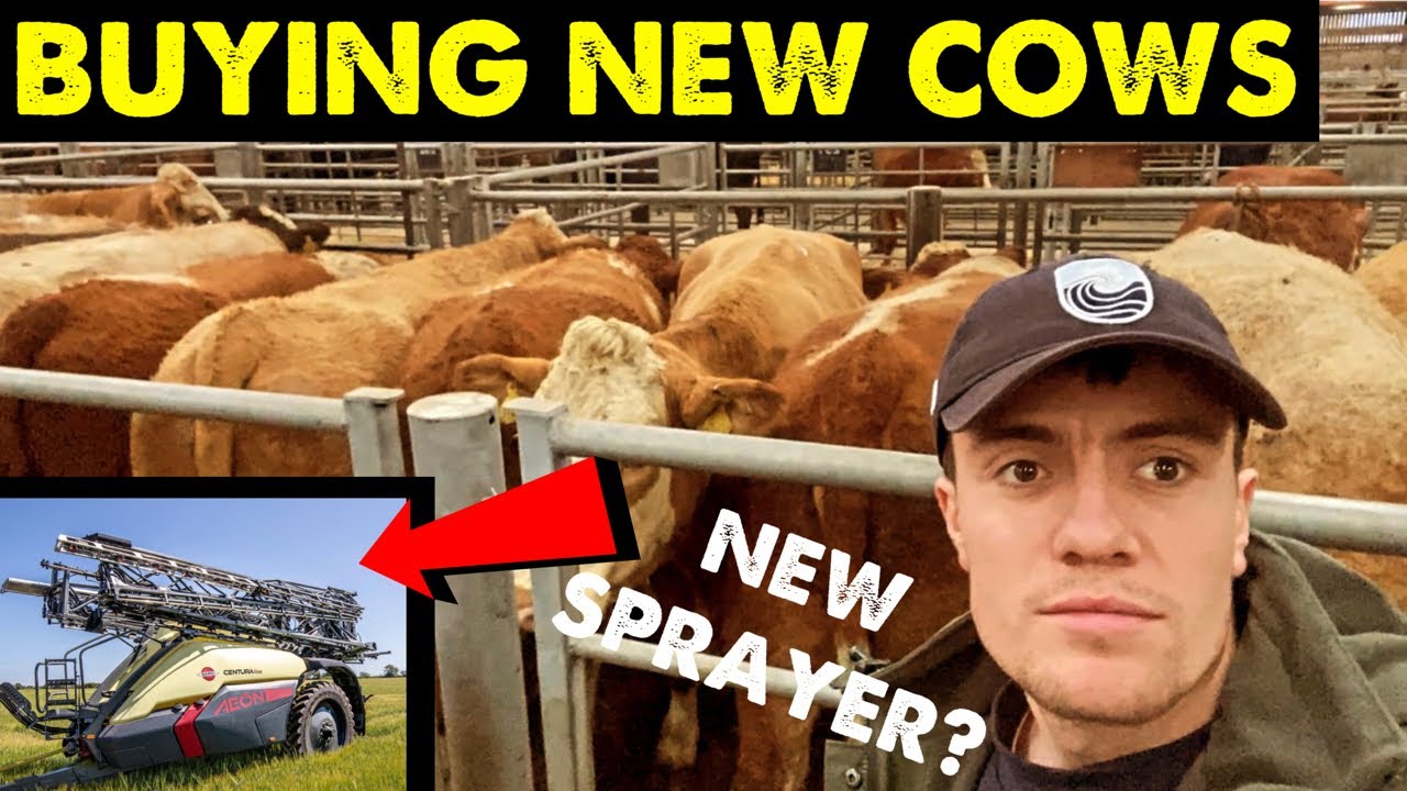 THE HERD GETS BIGGER | SPRAYERS 👀 | QUICK WELDING JOB #CRAWFORDFARMS #143