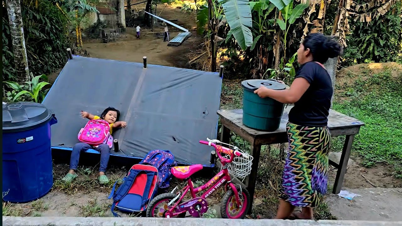 ¡Oh Por Dios! Hecharon A la Calle A doña Angelica