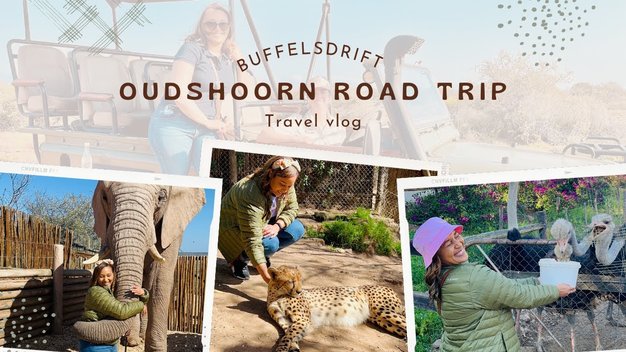 THE BEST OF CAPE TOWN - BUFFELSDRIFT GAME RESERVE  |  Travel Vlog 2022