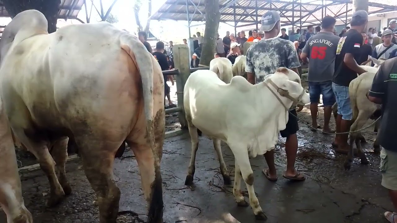 Suasana pasar Kebumen !!! Hari ini terpantau ramai meski di bulan Puasa
