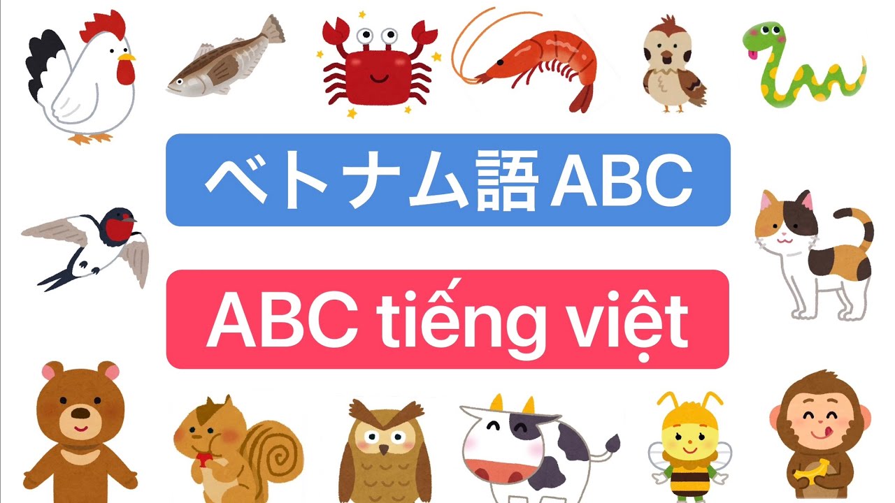 「ABC」ベトナム語アルファベット/Bảng chữ cái Tiếng Việt