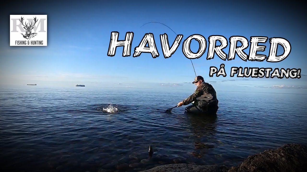 Første havørred med fluestang | First sea trout on fly rod (english subtitles)