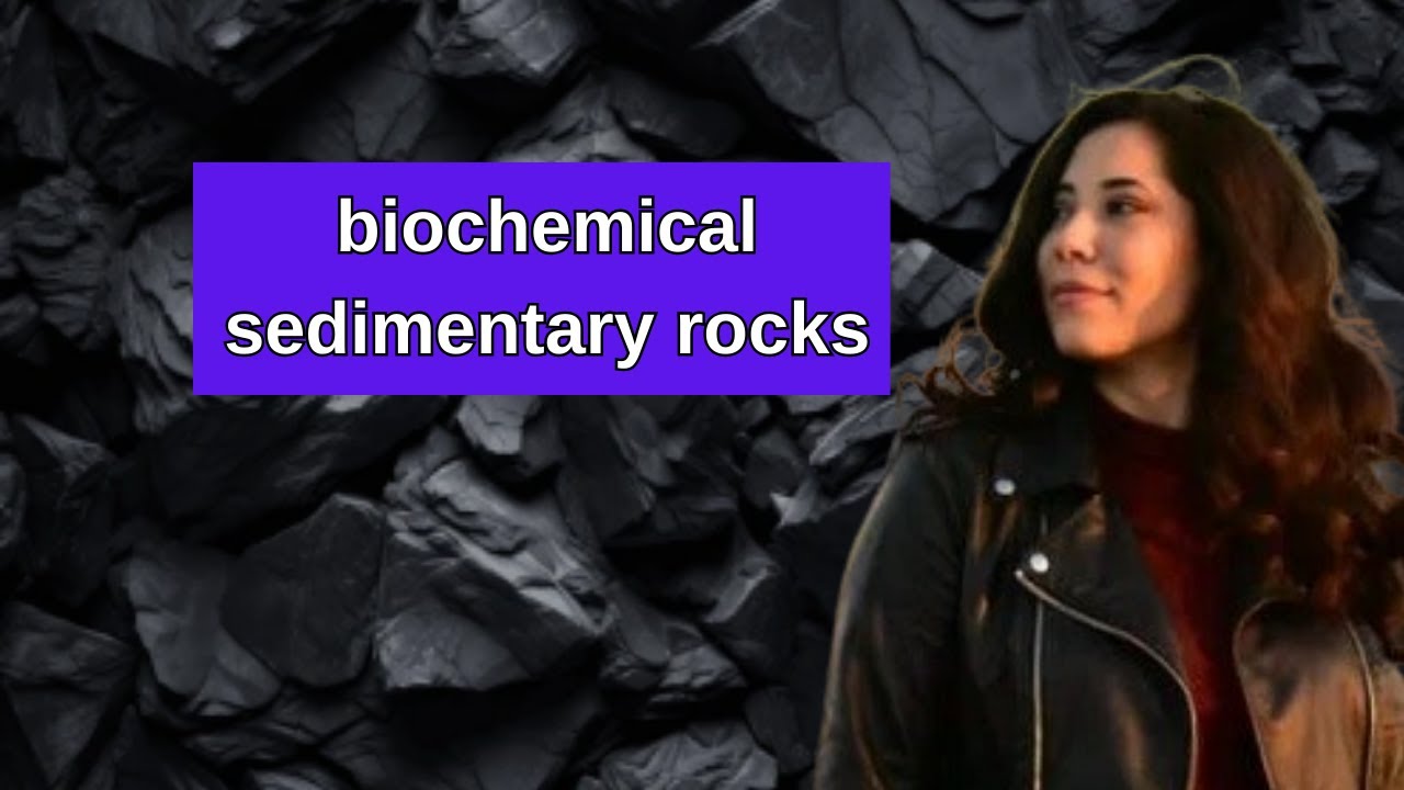 biochemical sedimentary rocks - formation and properties of biochemical sedimentary rocks