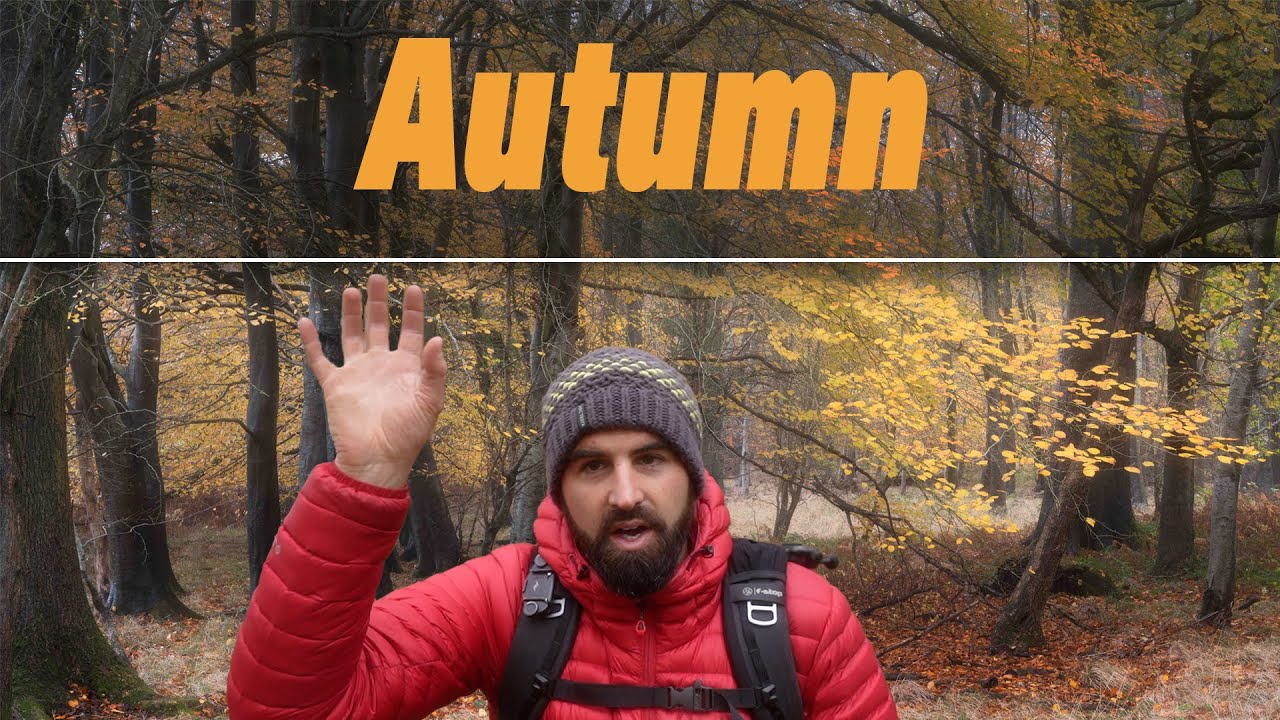 Autumns Come Early / A Woodland Photography Vlog 