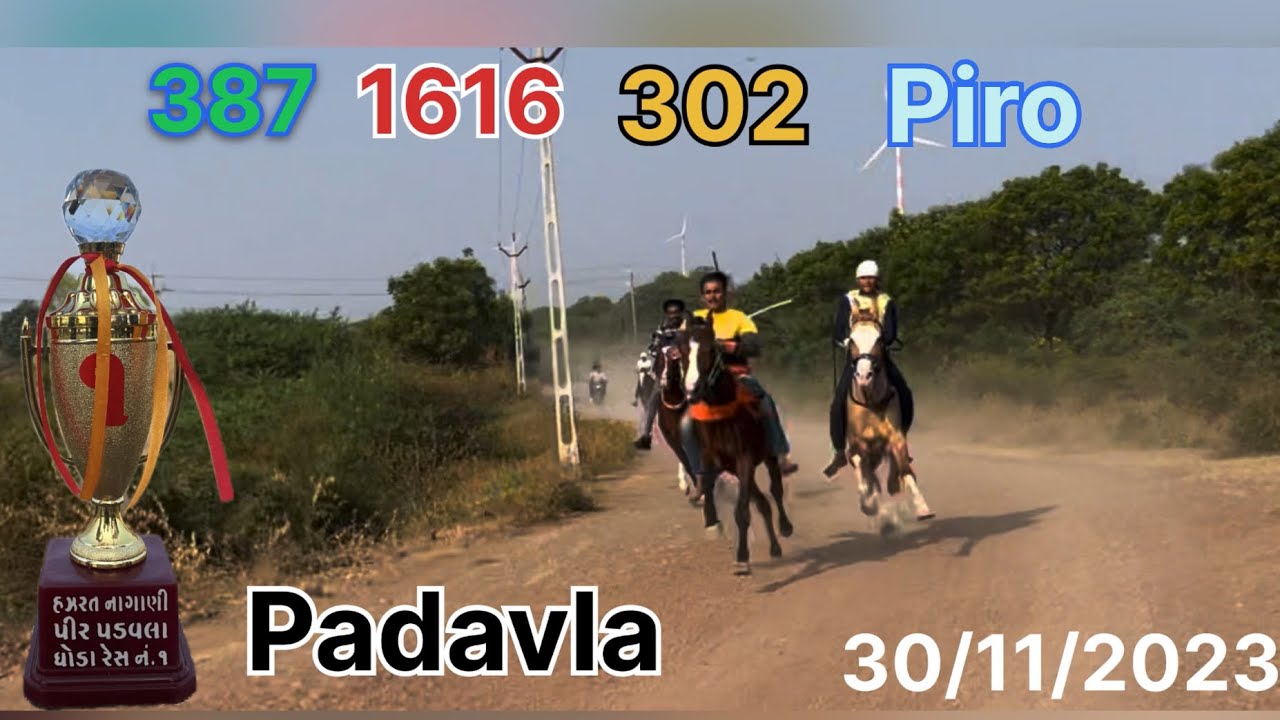 Nagani pir urs   (Padavla)  horse race 🐎 30/11/2023 bade Ghodo ki race
