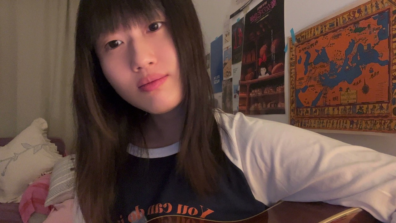 au pays du cocaine - geese (cover)