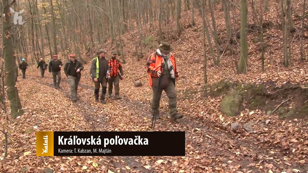 Kr&aacute;ľovsk&aacute; poľovačka