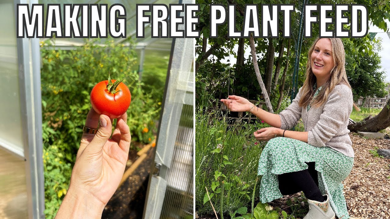GARDENING IN A HEATWAVE / ALLOTMENT GARDENING UK