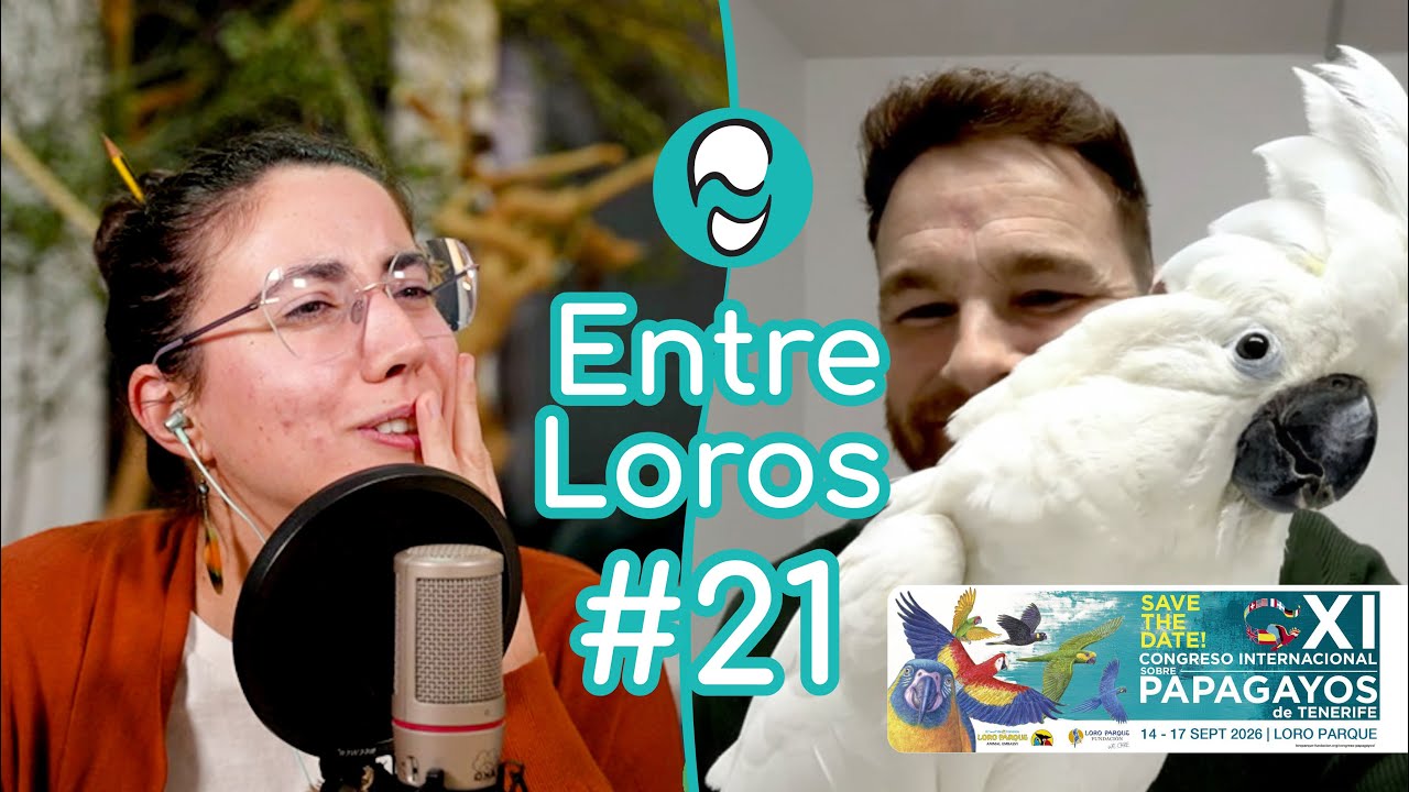 CONGRESO sobre PAPAGAYOS de Tenerife | Raúl González ~ 🎤 Entre Loros #21