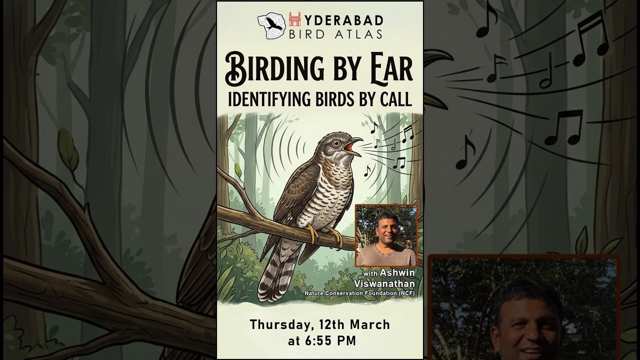 Birding By Ear : Identifying Birds by Call - By Ashwin Viswanathan