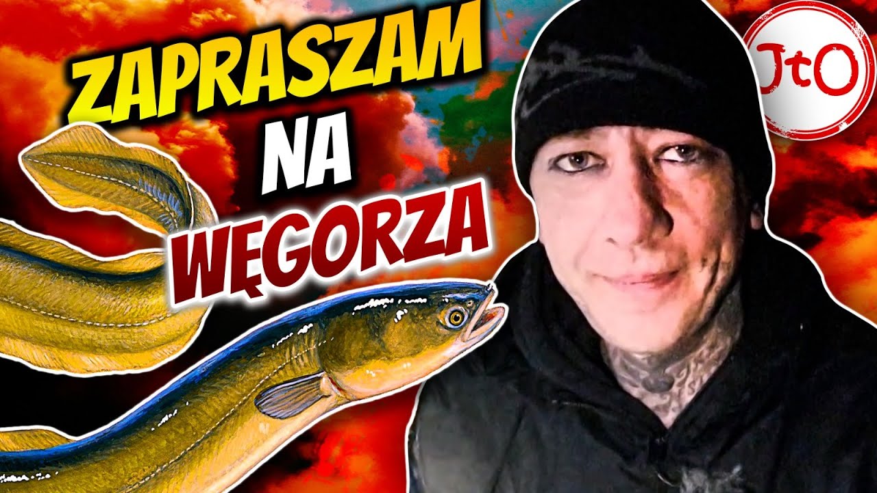 HAHMENT - zapraszam na węgorza. Dywan z niedźwiadka.