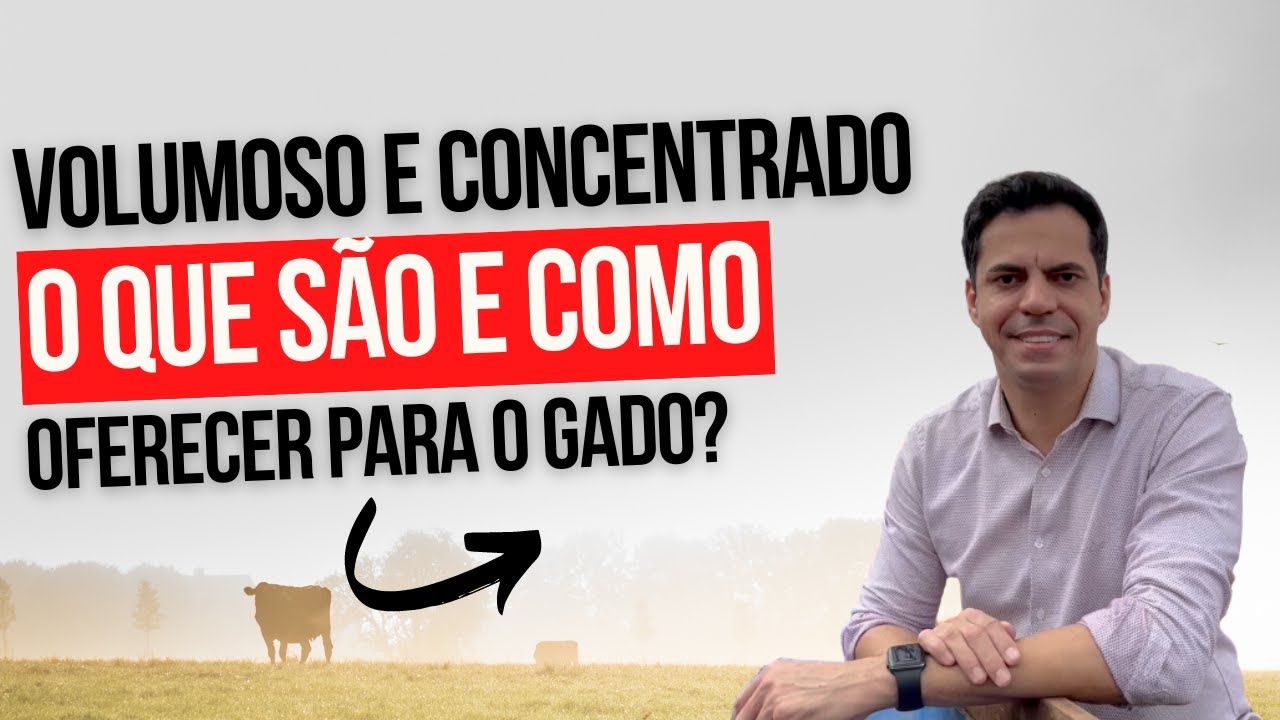 VOLUMOSO E CONCENTRADO: O QUE S&Atilde;O E QUANDO OFERECER PARA O GADO