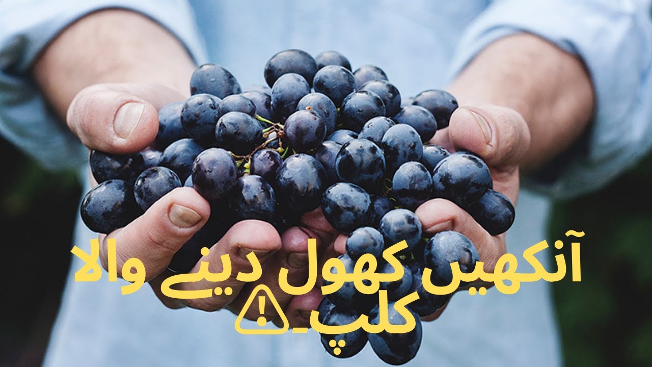 Islamic Guidance video#1