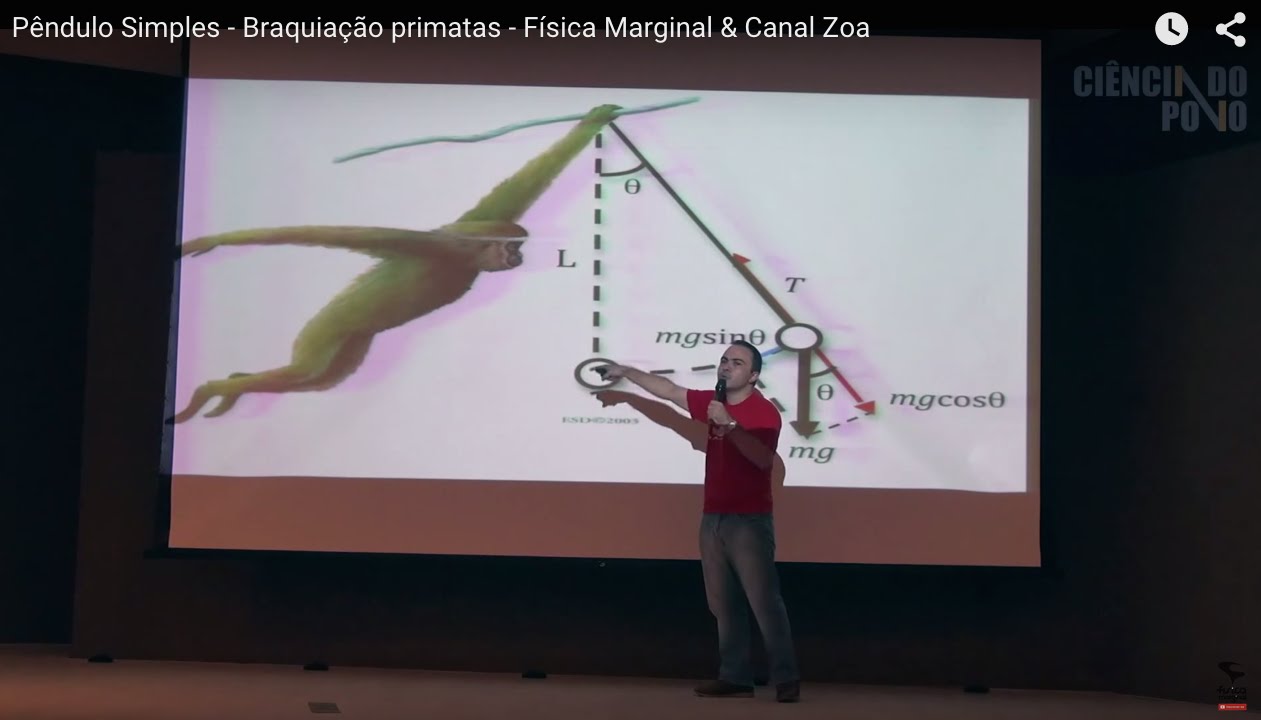 Pêndulo Simples - Braquiação primatas - Física Marginal & Canal Zoa