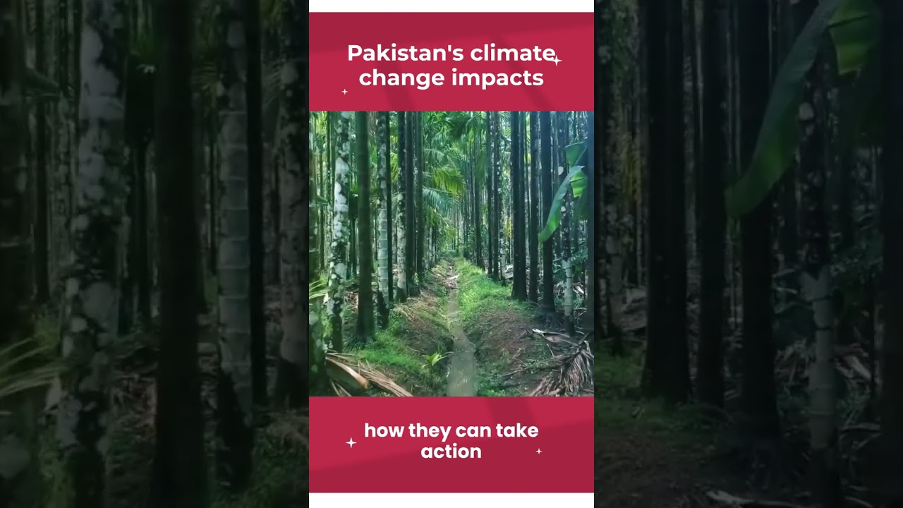 Global Warming | Climate Change | Impact On Pakistan & Its Economy