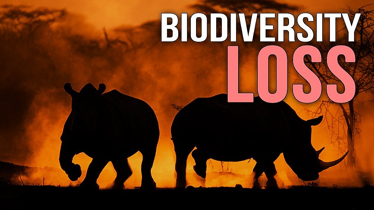 Biodiversity Loss - A Documentary