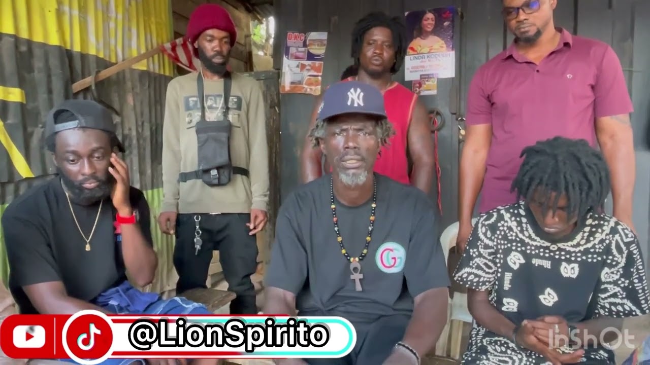 Napo & The NPP Are Ungrateful, We Switched Camp To The NDC - Lion Spirito