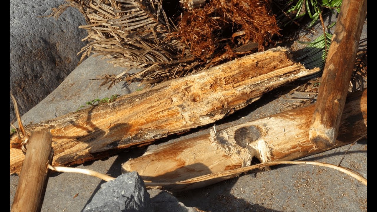 Stone Age Fire From Scratch: Stone Tools Bow Drill
