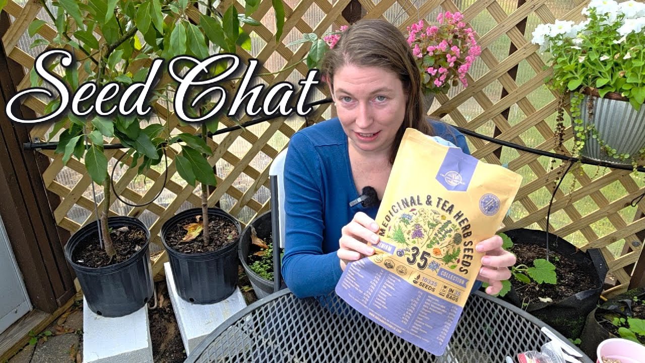 Seed Chat | Medicinal & Tea Herb Seed Haul