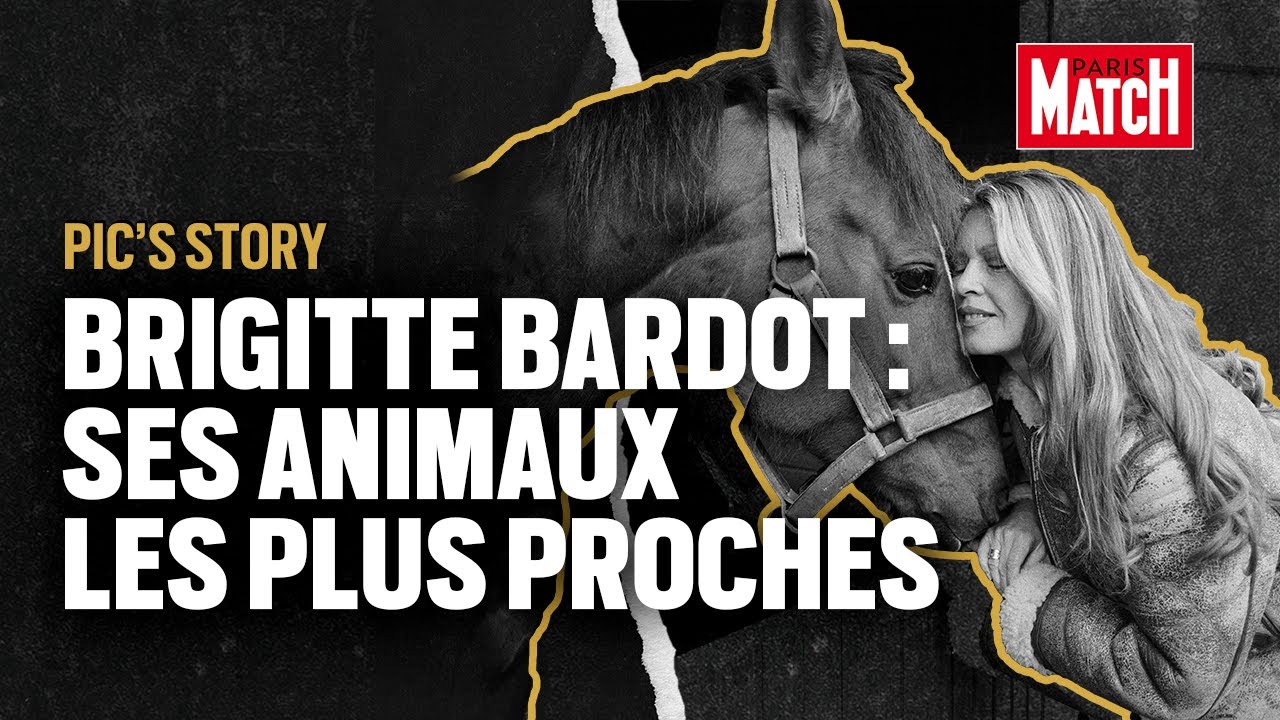 Brigitte Bardot : ses animaux les plus proches
