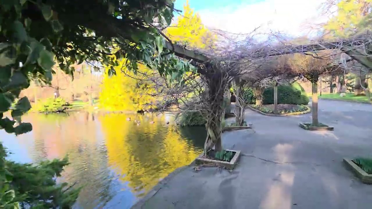 Beacon Hill Park Walkway 