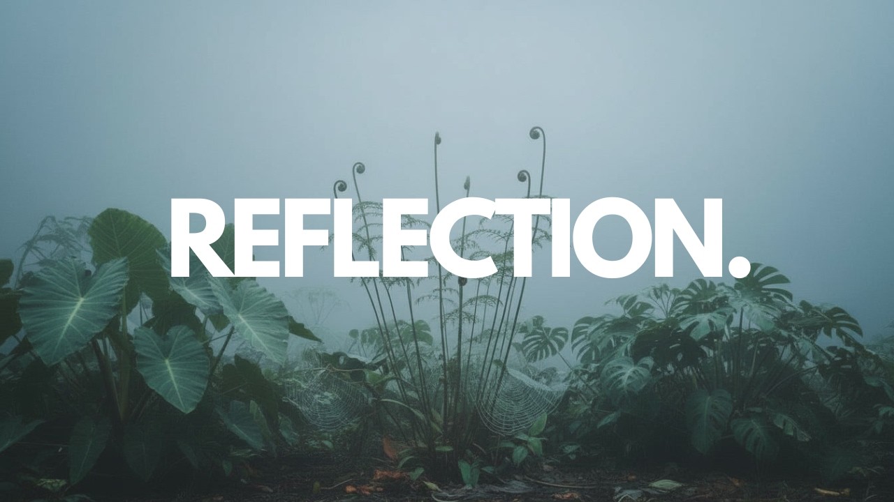 REFLECTION · quiet evening thoughts.