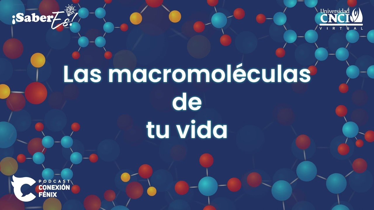 SaberEs - Las macromoléculas de tu vida