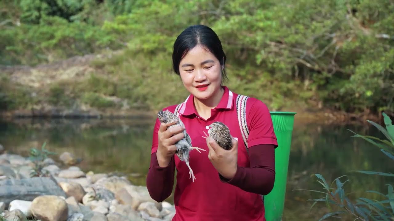 Talented Girl Harvesting Wild Quails by the Stream - Bring them to countryside market to sell