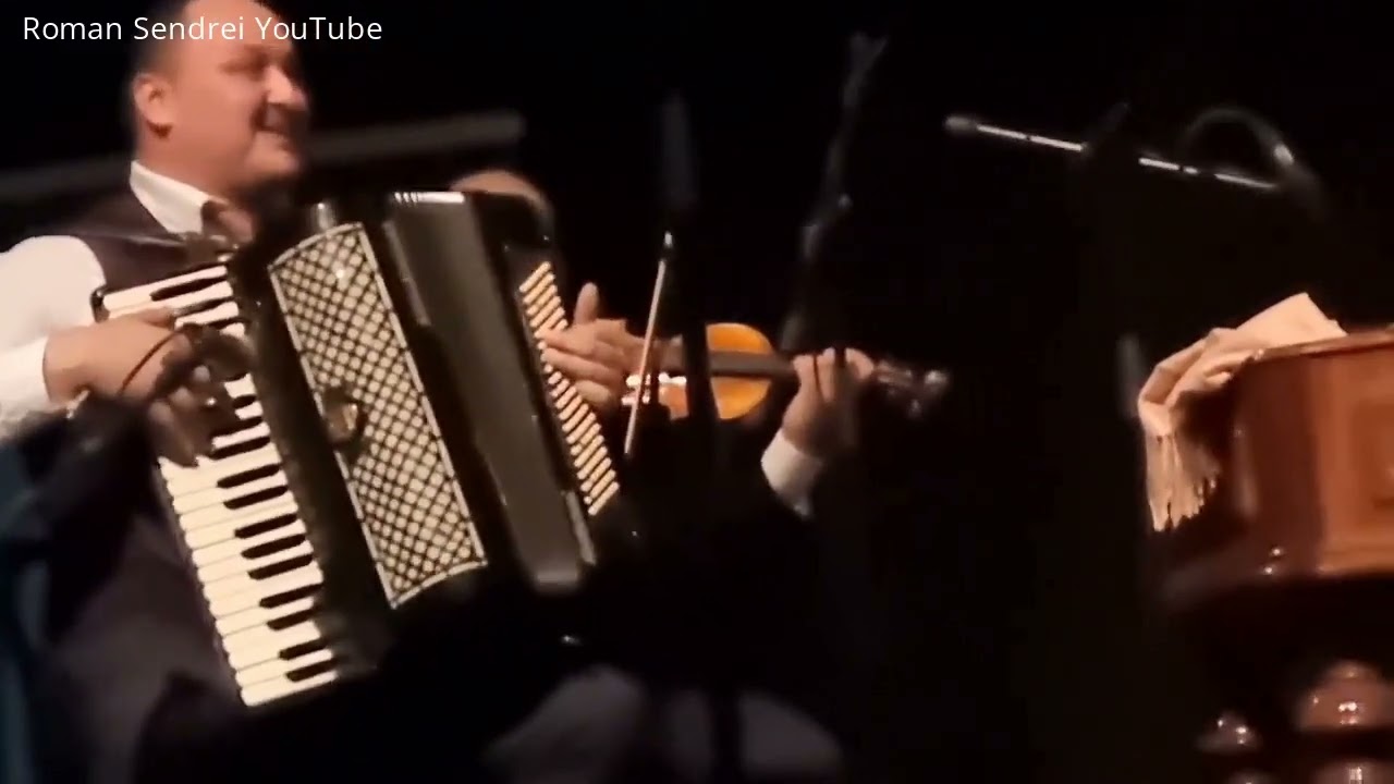 Mladý  Čoro Čávo Akordeon   🎻  🎹
