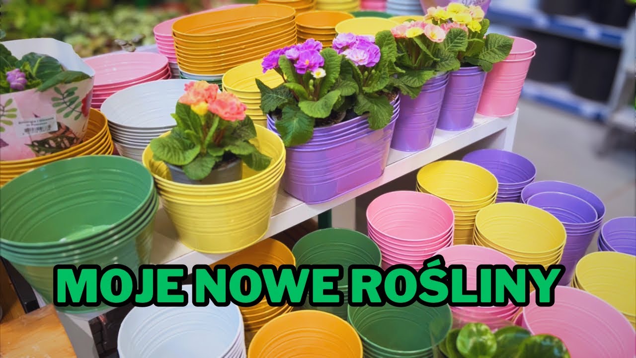 Co nowego w Mrówce? 🌿 Przegląd działu ogród i moje nowości!