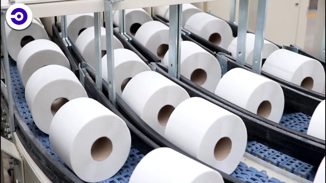 COME si FA la CARTA IGIENICA in ROTOLI 🧻 | COSÌ si PRODUCONO 83 MILIONI di ROTOLI di CARTA IGIENICA