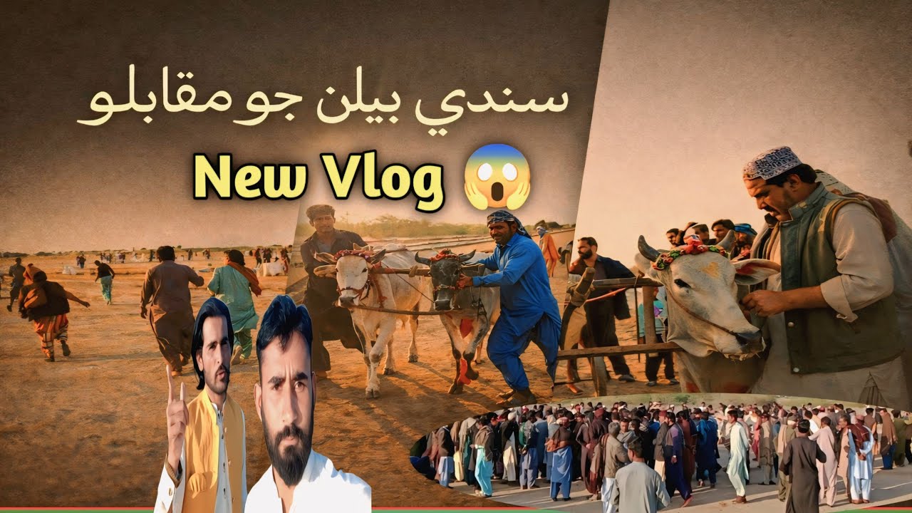 سندھی بیلن جو مقابلو – اصل طاقت جو ڏيکاريو!