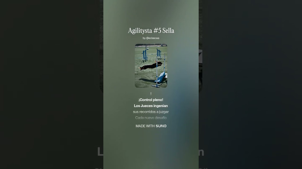 Agilitysta #5 Sella