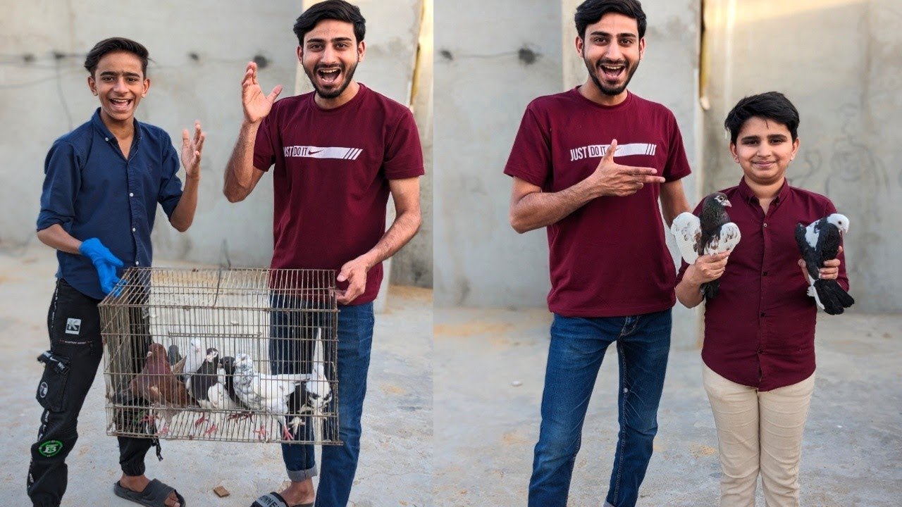 Road se pakde hue kabootar subscriber ko De Diye🥳🎉🎉