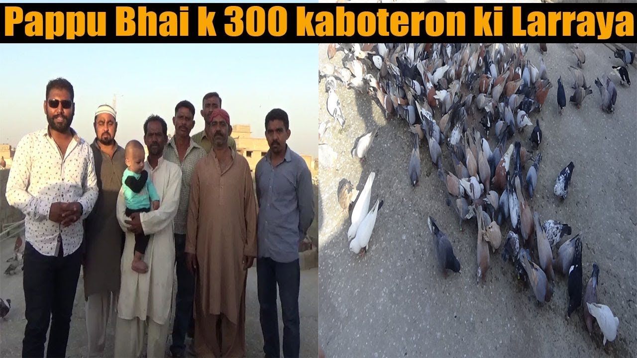 Pappu Bhai k 300 kabooteron ki Larrayya V/S Sheeshay Wala