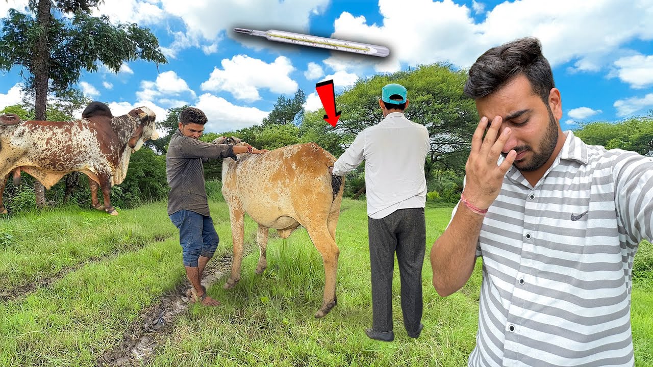 Surbhi Ko Thermometer Kyu Lagaya🌡️