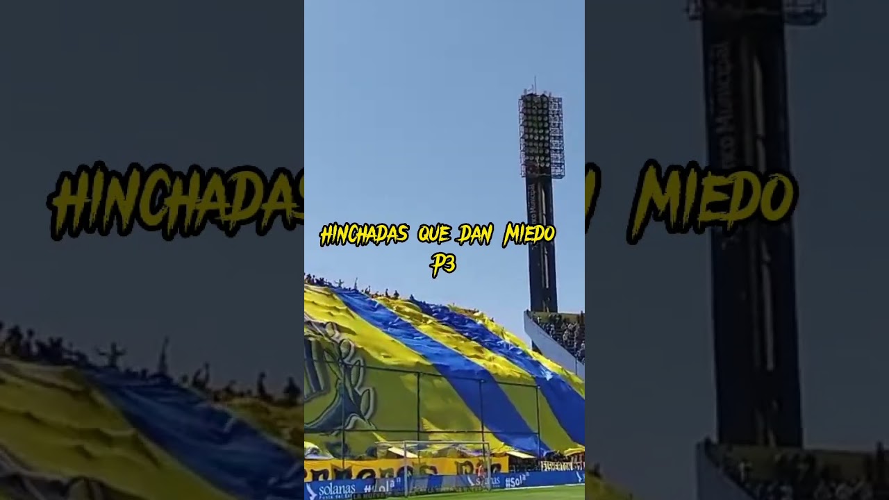 hinchadas que dan miedo p3 💀💀#viral #rosario#central