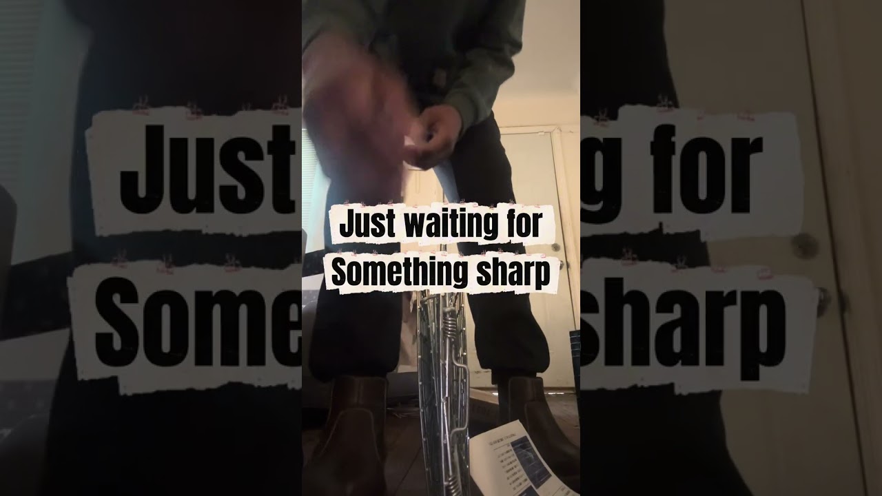 Grum P’s Pest Mold & Snow, raccoon job! Day 1