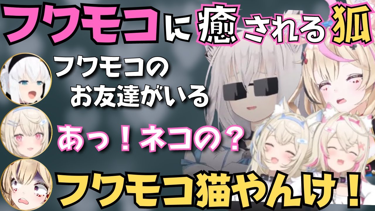 フワモコの可愛さに癒されるフブポル【白上フブキ／尾丸ポルカ／FUWAMOCO／ホロライブ 切り抜き／PHASMOPHOBIA】