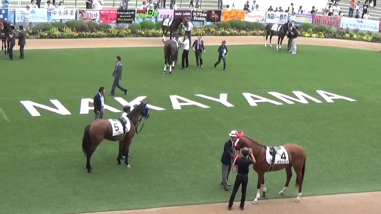 Nakayama Racecourse, Tokyo, Japan