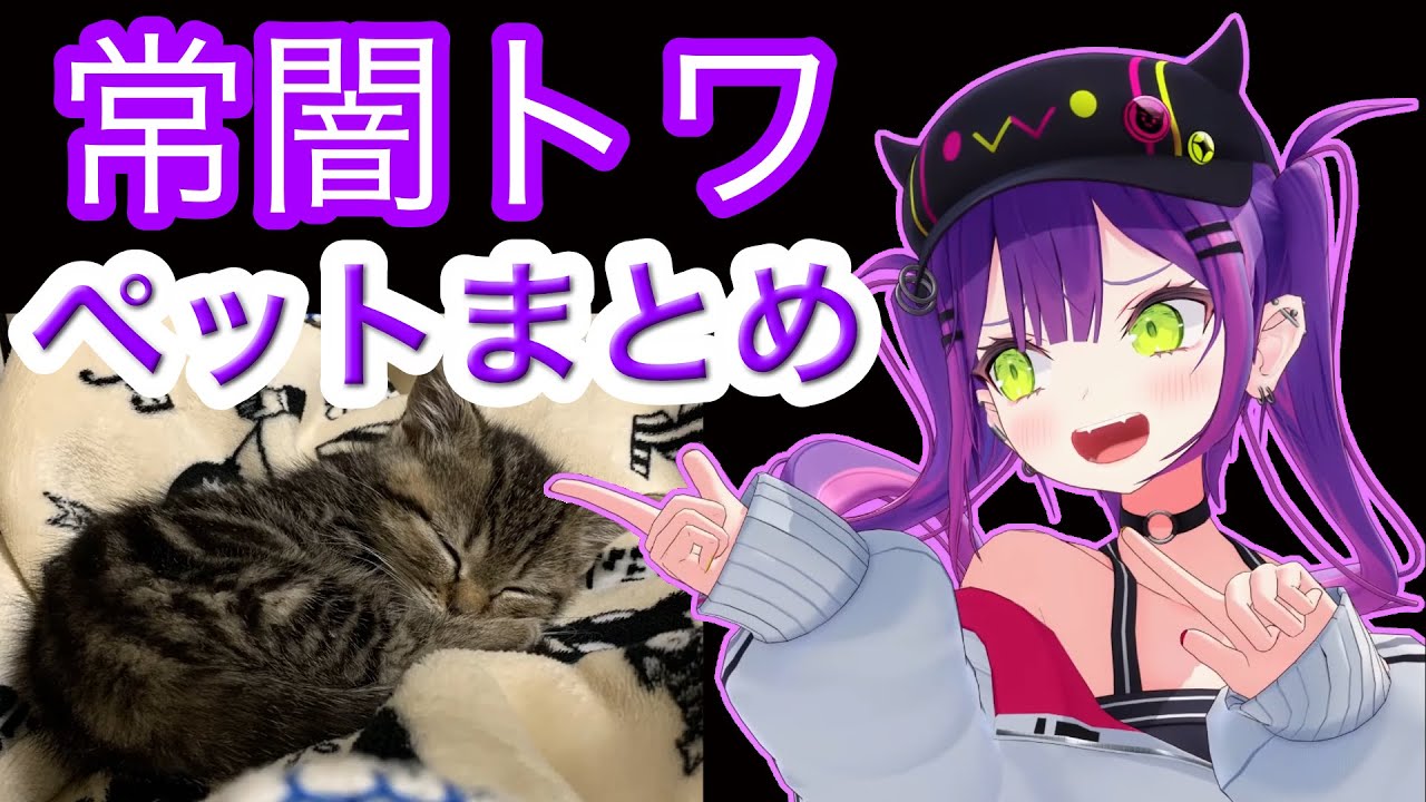 【常闇トワ】ホロメンのペットまとめ【ホロライブ/切り抜き】
