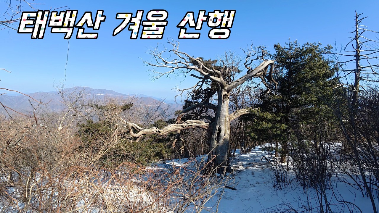 태백산 최단거리 겨울 산행하기