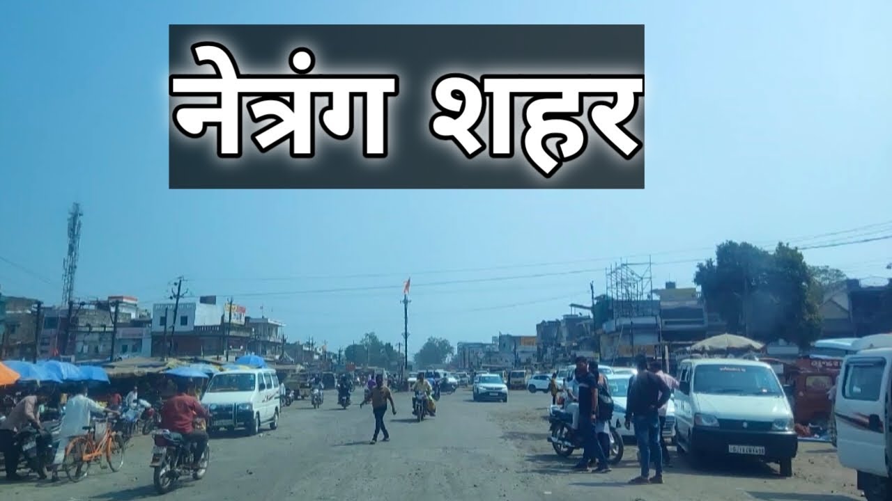 नेत्रंग शहर || Netrang City