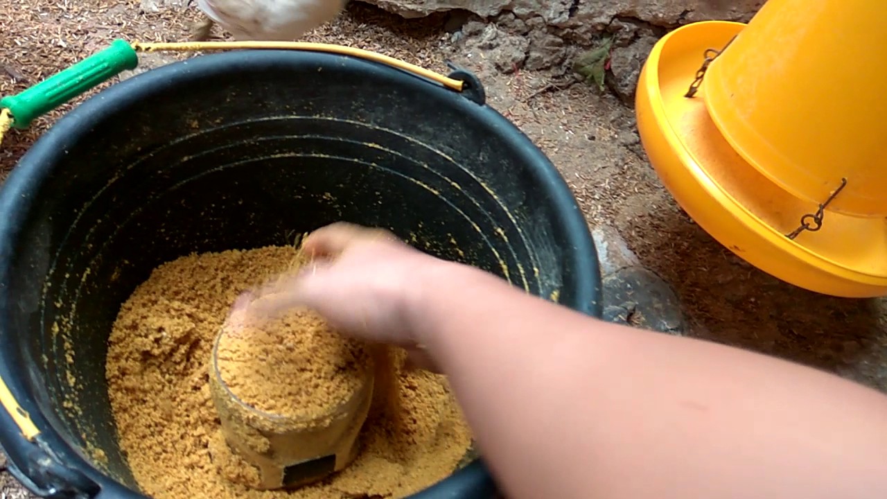 Ayam Kampung Super Cara Jitu Panen Ayam 45 hari dan Kndang Tdak Bau dgn Menggunakan EM4