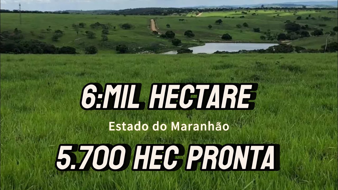 6 mil hectare no estado do Maranhão!  5.700 hectare de abertura!  Documentos redondo😳😱